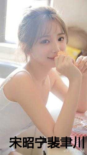 宋昭宁裴聿川的小说