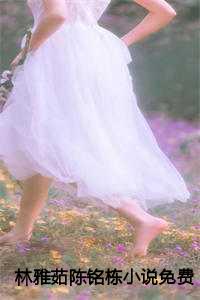 林雅茹陈铭栋小说免费阅读