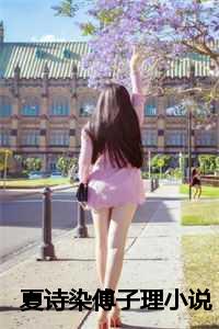 夏诗染傅子理小说