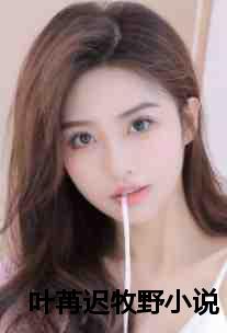叶苒迟牧野小说