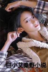 白小艾秦野小说