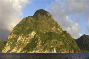 安景季宸东免费阅读