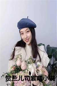 贺兰儿司宸曜小说