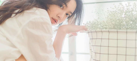 一吻成婚小说推荐