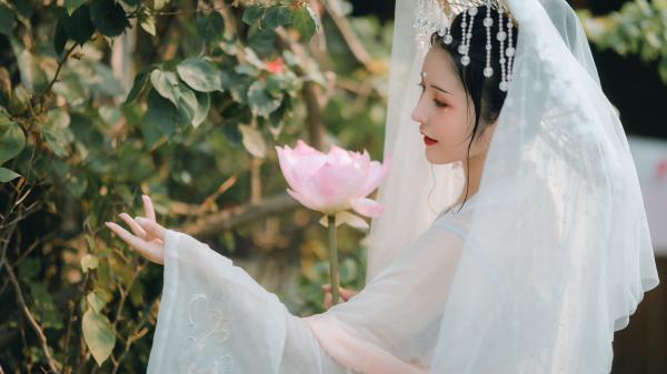 骑着蜗牛去旅行的小说九色元婴李乐胡凌李乐胡凌全文阅读