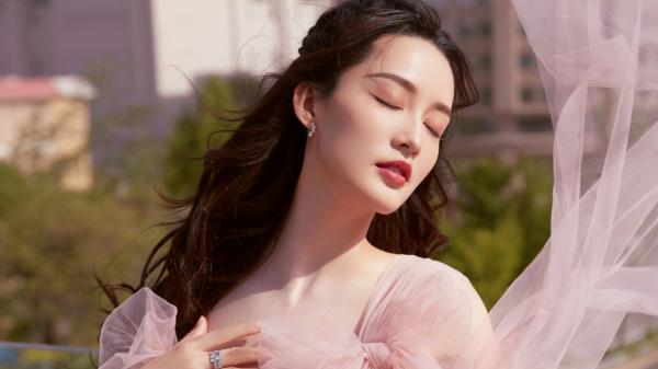 许洛枝梁君泽（许洛枝梁君泽）全文免费阅读无弹窗大结局_许洛枝梁君泽免费阅读（许洛枝梁君泽）