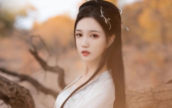 太极门赘婿免费小说叶凡唐若雪全章节阅读