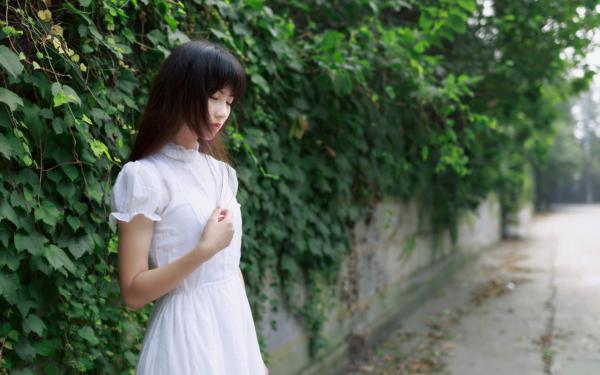 让你当校长，你直接碾压国科大？完整版全文阅读 林宇赵阳 大结局