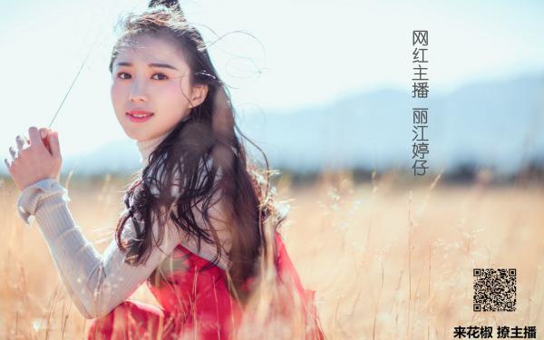 《报名下乡建设，看我一路狂飙》小说大结局精彩试读 季卫东钟灵儿小说阅读