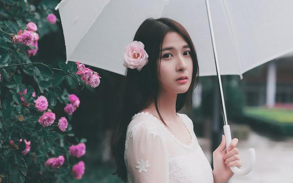 《致命稿费》小说全文免费试读 《致命稿费》最新章节目录