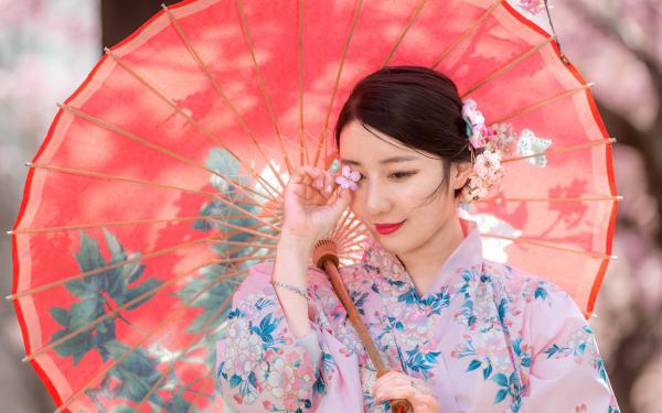 朕的爱妃今天发疯了吗(齐煜沈妙)全文完结在线阅读完整版
