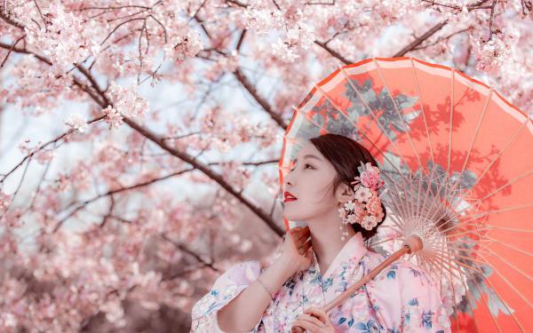 赵严吴妤小说全文精彩章节在线阅读（老公嫌我是助浴师，破产后却求我救命）