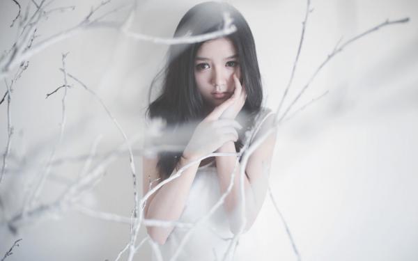 《谢淮禹沈知鸢》小说章节在线试读 沈律师我刚发了一份离婚协议小说阅读