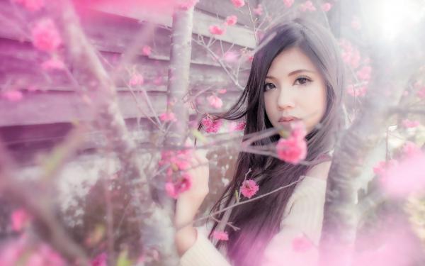丈夫带丧夫的师母带回家后，家散了傅既白许青岚小说结局完整全文